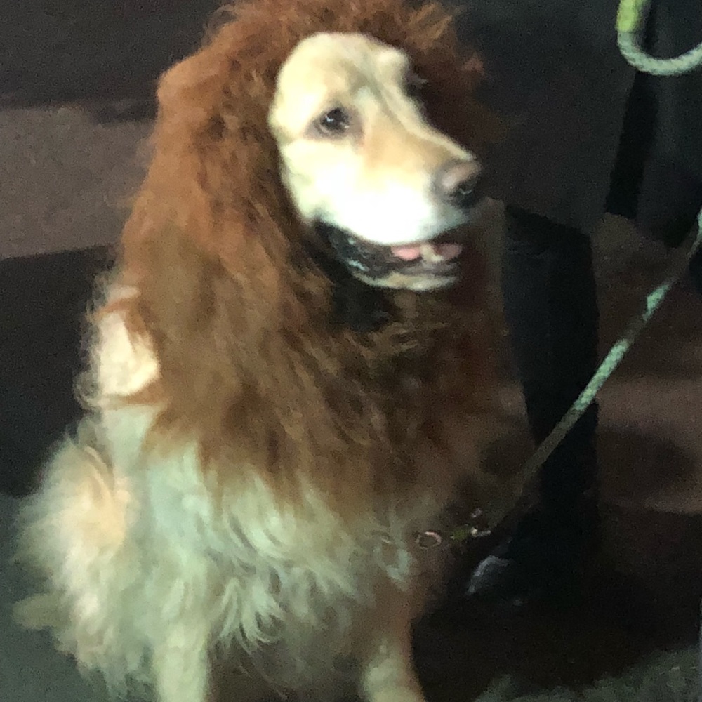 Meet your Posher, Lori